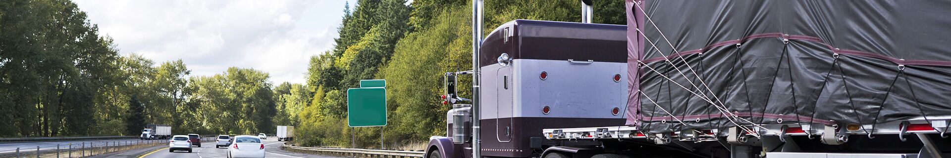 Accident Procedures: Driver Training Series
