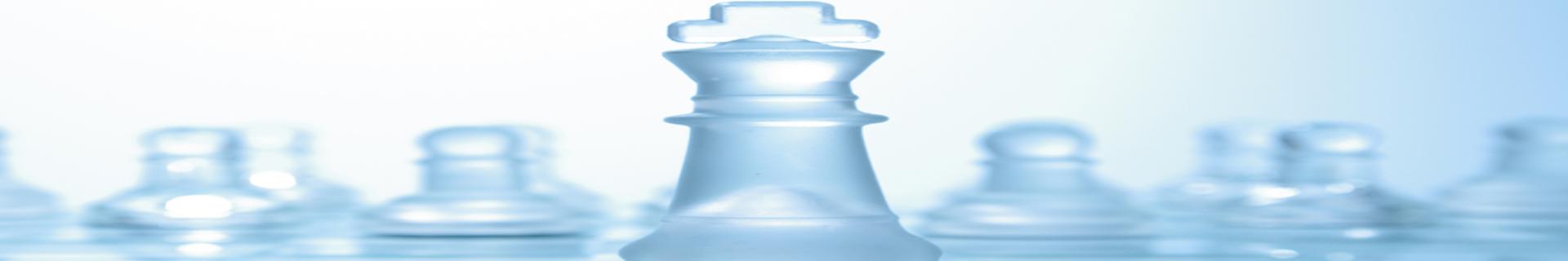 Leadership for Safety Excellence – Online