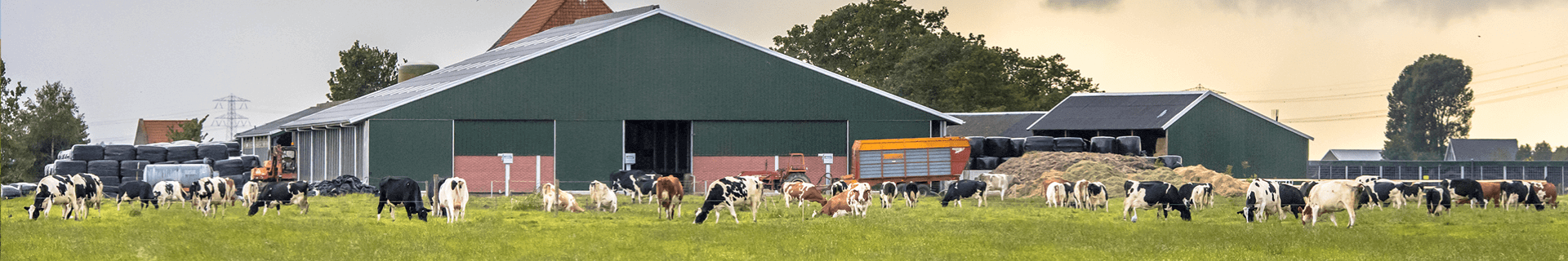 Dairy Workers: General Dairy Worker Safety