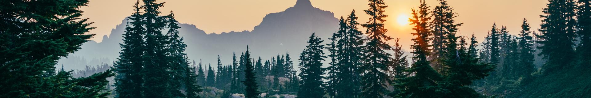 Wilderness Awareness (SCS)