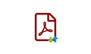 PDF
