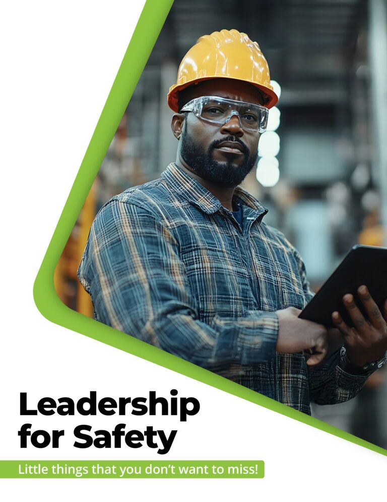Leadership for Safety Book