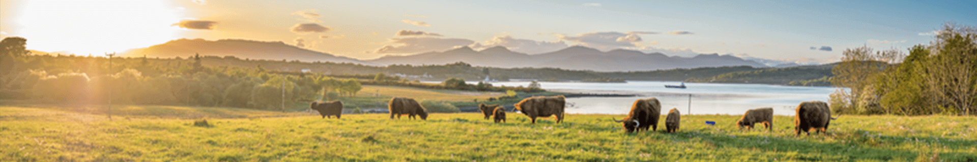 Dairy Workers: Animal Handling and Health