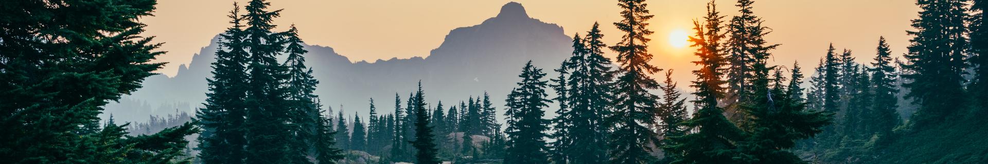 Wilderness Awareness