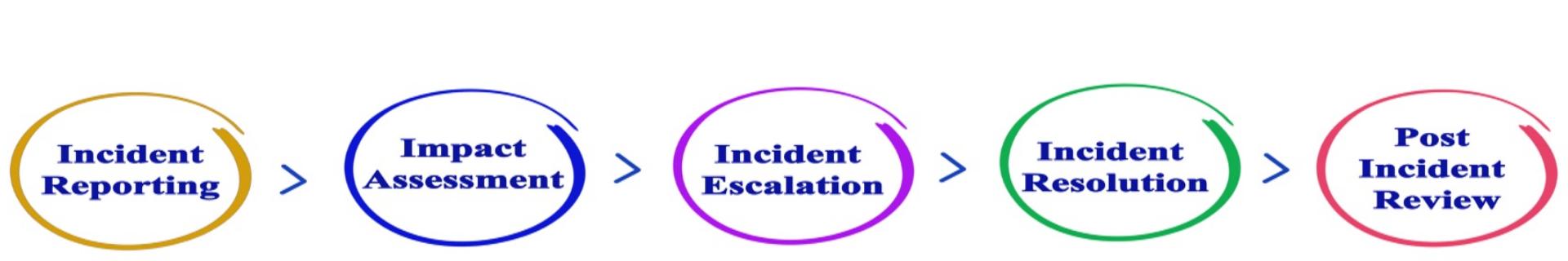 Reporting (Data Entry)