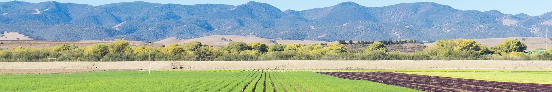 Agricultural Machinery Safeguarding