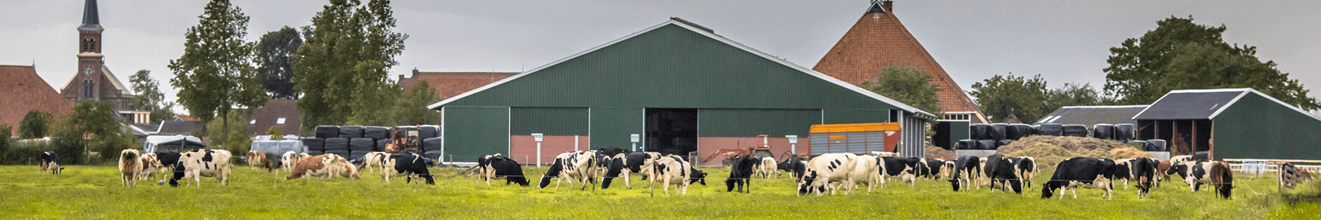 Dairy Workers: Safety Around Robotics