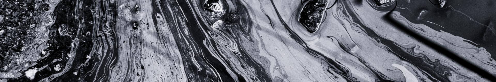 Conscience environnementale
