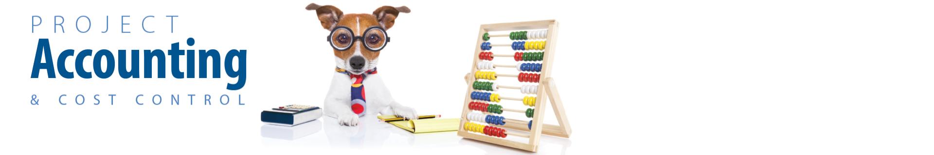 Project Accounting & Cost Control