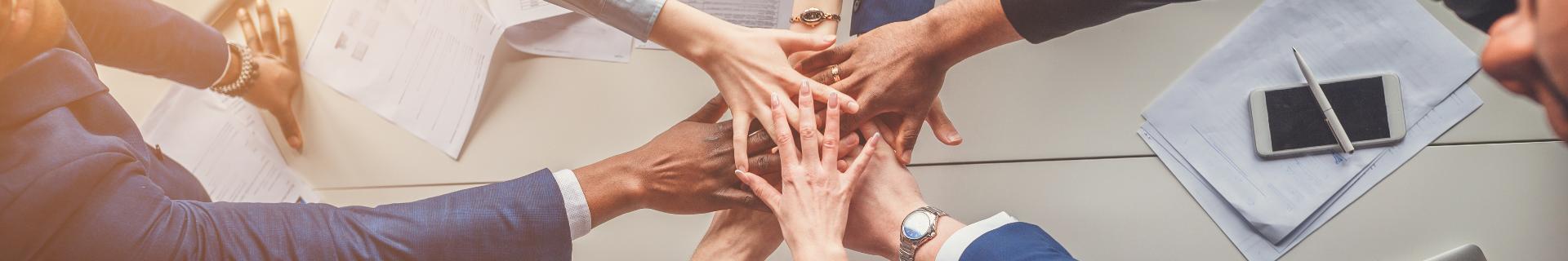 Unity in Diversity
