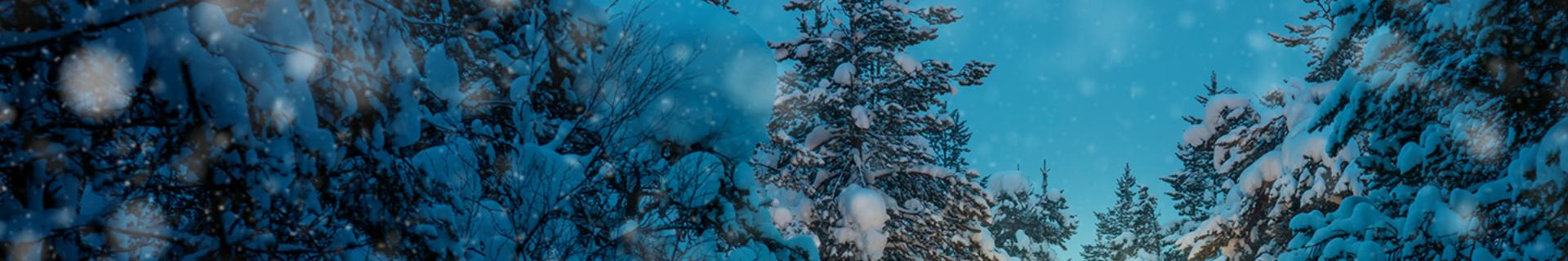 Defensive Driving: Extreme Winter Driving with Skid Control/Recovery