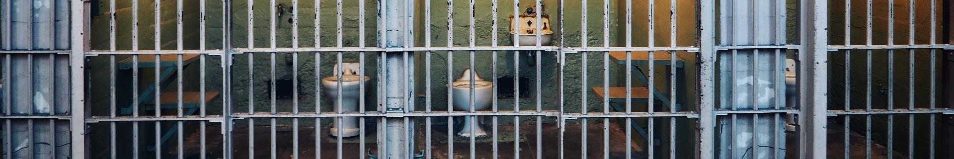 Consequences of Criminal Behaviour