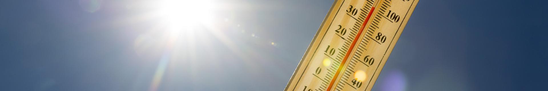 Estrés de calor