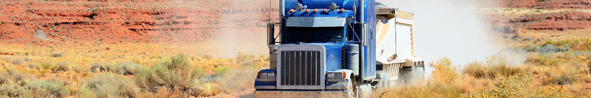 Injury Prevention for CDL Drivers