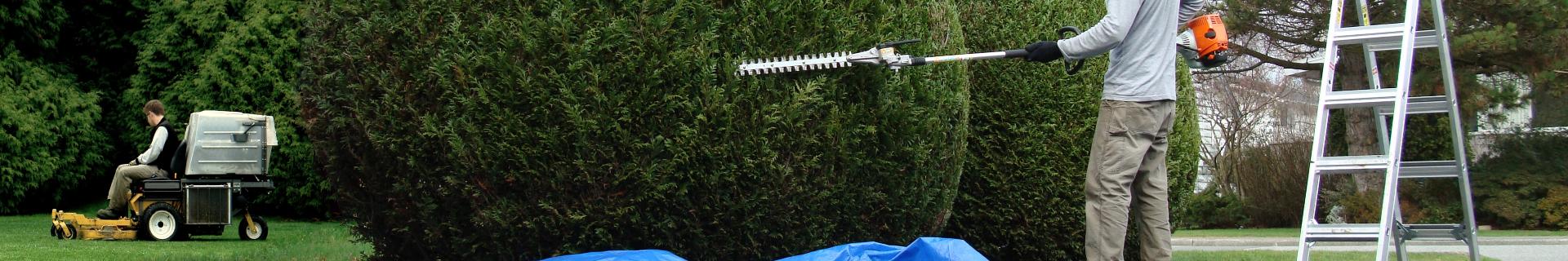 Landscaping Safety (OSHA)