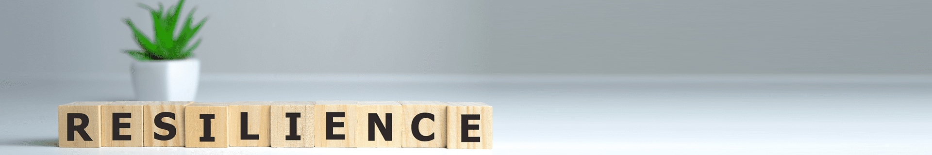 Psychological Health and Safety eLearning Program