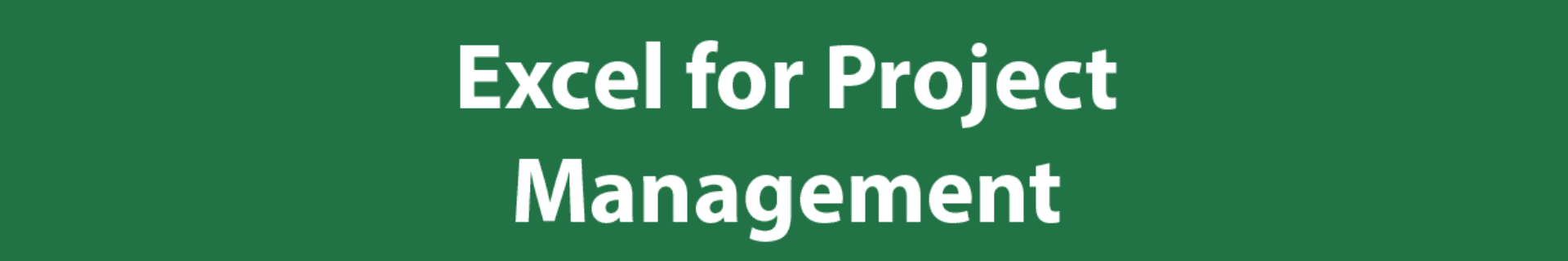 Excel for Project Management