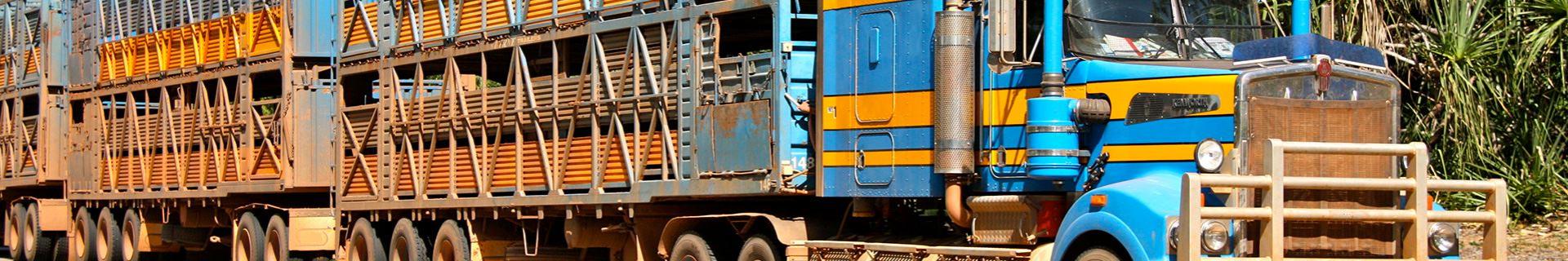 ICC Transport de marchandises dangereuses par voie terrestre