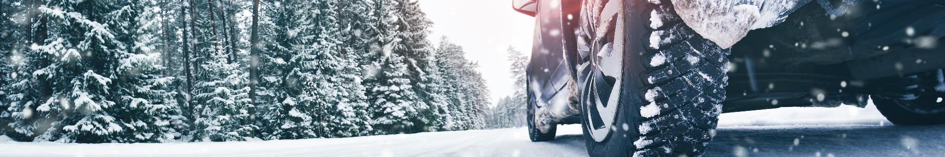Seguridad Invernal