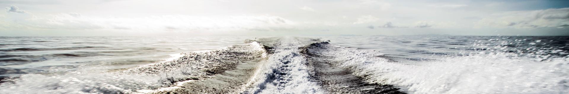 Maritime Man Overboard (OSHA)
